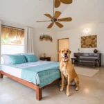 Casa Yaxche - Hotel Pet Friendly en Valladolid