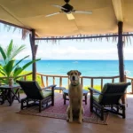 Chan-kah Resort Village - Hotel Pet Friendly en Palenque