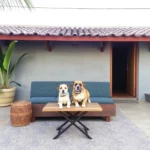 Choco´s Hotel - Hotel Pet Friendly en Villahermosa