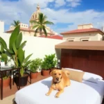 Cuernavaca 2000 - Hotel Pet Friendly en Cuernavaca
