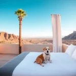Econosuites Fundidora - Hotel Pet Friendly en Monterrey