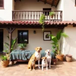 El Colisseo Renta De Habitaciones Y Alberca - Hotel Pet Friendly en Tuxtla Gutiérrez