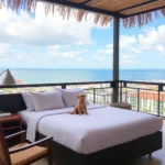 Fiesta Americana Mérida - Hotel Pet Friendly en Mérida