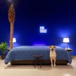 Fiesta Inn Express Monterrey Centro - Hotel Pet Friendly en Monterrey