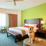 Fiesta Inn Mérida - Hotel Pet Friendly en Mérida