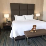 Fiesta Inn Tuxtla Fashion Mall - Hotel Pet Friendly en Tuxtla Gutiérrez