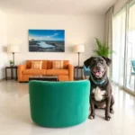 Fiesta Inn Veracruz Malecón - Hotel Pet Friendly en Veracruz