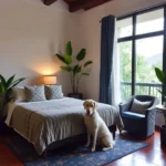 Gran Hotel De Pátzcuaro - Hotel Pet Friendly en Pátzcuaro