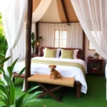 Grasshopper Cabañas Mx - Hotel Pet Friendly en Tepoztlán