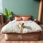 Habitaciones Vuelve Pronto - Hotel Pet Friendly en Cd Madero