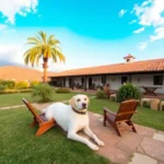 Hacienda San Miguel Regla - Hotel Pet Friendly en San Miguel Regla