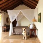 Hacienda Santuario Noc-ac - Hotel Pet Friendly en Mérida