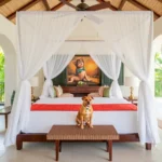 Hacienda Xcanatun, Angsana Heritage Collection - Hotel Pet Friendly en Mérida