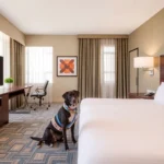 Hampton By Hilton Saltillo - Hotel Pet Friendly en Saltillo