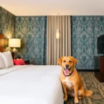 Hampton Inn By Hilton Villahermosa - Hotel Pet Friendly en Villahermosa