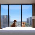 Hilton Garden Inn Monterrey Obispado - Hotel Pet Friendly en Monterrey