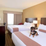 Holiday Inn Monterrey Norte - Hotel Pet Friendly en Monterrey
