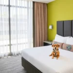Holiday Inn Puebla La Noria By Ihg - Hotel Pet Friendly en Heroica Puebla de Zaragoza