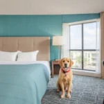 Holiday Inn Tampico Altamira - Hotel Pet Friendly en Altamira