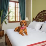 Hostal El Cielo Oaxaca - Hotel Pet Friendly en Oaxaca de Juárez