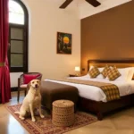 Hostal Santo Domingo - Hotel Pet Friendly en Heroica Puebla de Zaragoza