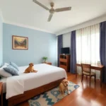 Hotel - Hotel Pet Friendly en Veracruz