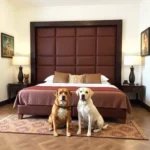 Hotel 5 De Mayo - Hotel Pet Friendly en Heroica Puebla de Zaragoza