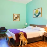 Hotel 500 - Hotel Pet Friendly en Monterrey