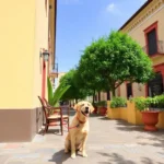 Hotel Alameda Morelia, Centro Histórico - Hotel Pet Friendly en Morelia