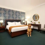 Hotel Arcángel Puebla - Hotel Pet Friendly en Heroica Puebla de Zaragoza