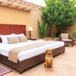 Hotel Arroyo De La Plata - Hotel Pet Friendly en Zacatecas