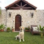 Hotel Baluarte - Hotel Pet Friendly en Veracruz