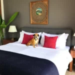 Hotel Boca Del Río Oliba - Hotel Pet Friendly en Boca del Río