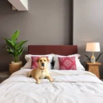 Hotel Boutique Calderón - Hotel Pet Friendly en San Miguel Regla