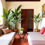 Hotel Boutique Casa Cid De León - Hotel Pet Friendly en Oaxaca de Juárez