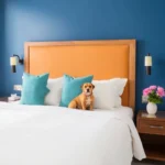 Hotel Boutique Real San Juan Center - Hotel Pet Friendly en Mérida