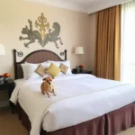 Hotel Boutique San Felipe El Real - Hotel Pet Friendly en Chihuahua
