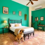 Hotel Calle 8 - Hotel Pet Friendly en Tuxtla Gutiérrez