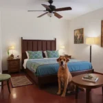 Hotel Casa Cue - Hotel Pet Friendly en Oaxaca de Juárez