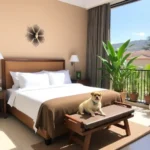Hotel Casa De La Palma Boutique - Hotel Pet Friendly en Heroica Puebla de Zaragoza