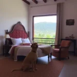 Hotel Casa De Los Santos - Hotel Pet Friendly en Guanajuato