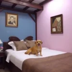 Hotel Casa De Los Santos Guanajuato - Hotel Pet Friendly en Guanajuato