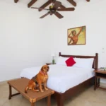 Hotel Casa Del Balam - Hotel Pet Friendly en Mérida