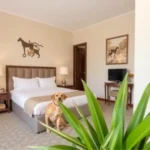 Hotel Casa Faroles - Hotel Pet Friendly en Zacatecas
