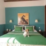 Hotel Casa Santo Domingo - Hotel Pet Friendly en Zacatecas