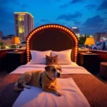 Hotel Casino Morelia - Hotel Pet Friendly en Morelia