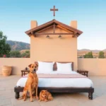 Hotel Casona Los Vitrales - Hotel Pet Friendly en Zacatecas