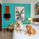 Hotel Cedros - Hotel Pet Friendly en Altamira