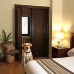 Hotel Chipinque - Hotel Pet Friendly en San Pedro Garza García