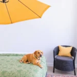 Hotel Clara Luna - Hotel Pet Friendly en Xalapa-Enríquez